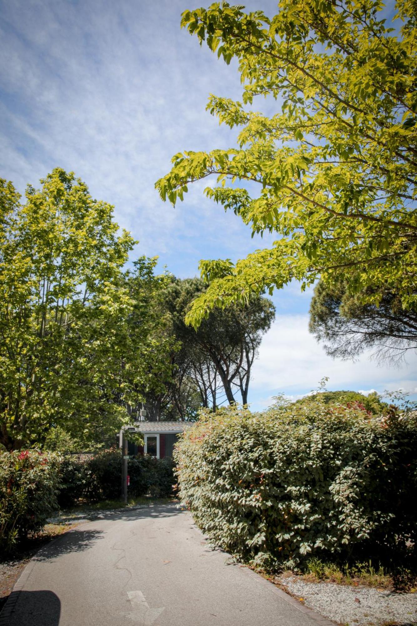 Domaine De Verdagne Gassin Exterior photo