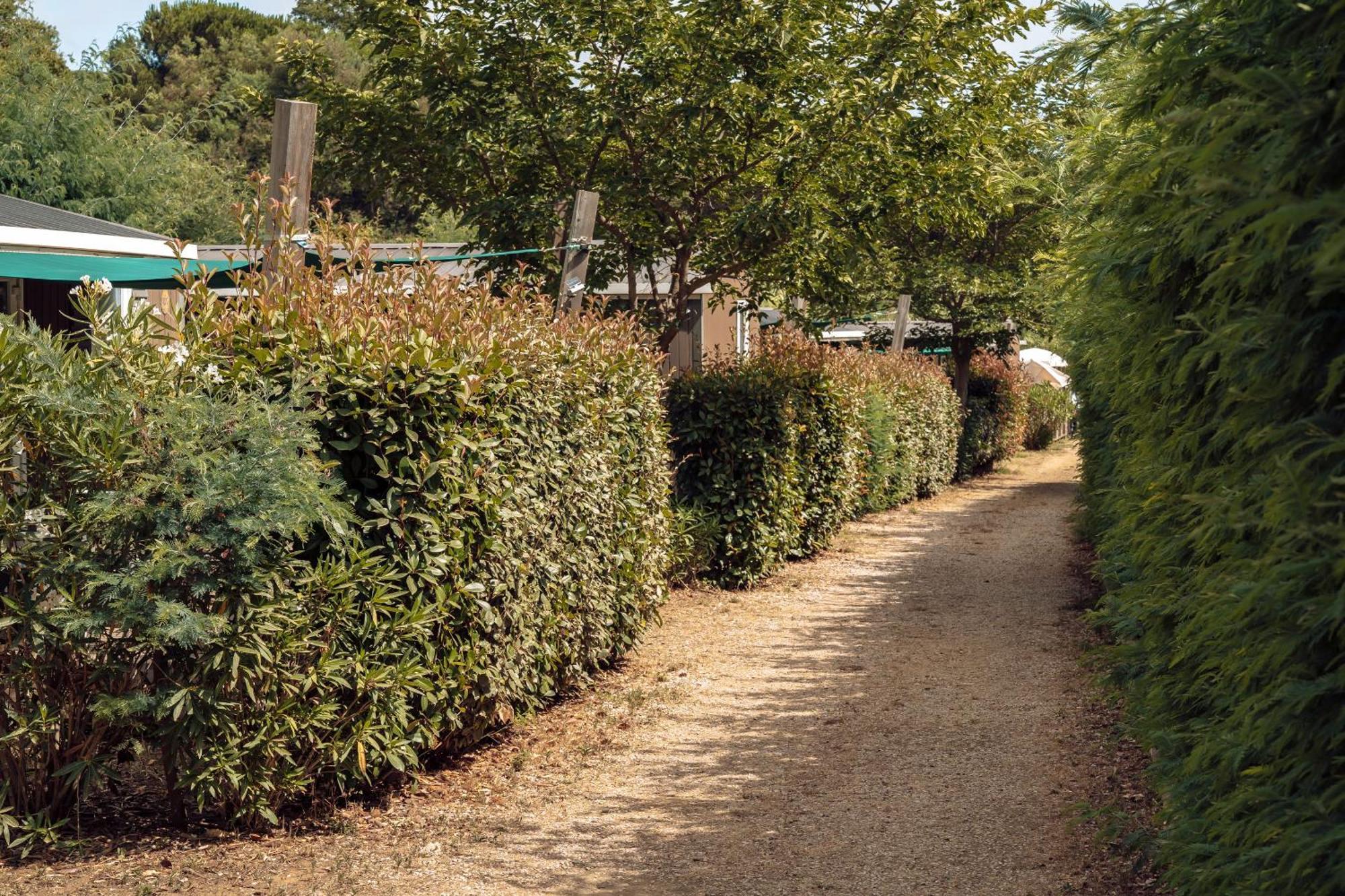 Domaine De Verdagne Gassin Exterior photo